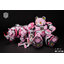 SEVEN DEADLY SINS 1/10 SIN-03 SLOTH DELUXE EDITION (โมเดลประกอบ) ราคารวมค่าส่ง EMS แล้ว