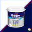 Beger Rain Quick Primer B-2900