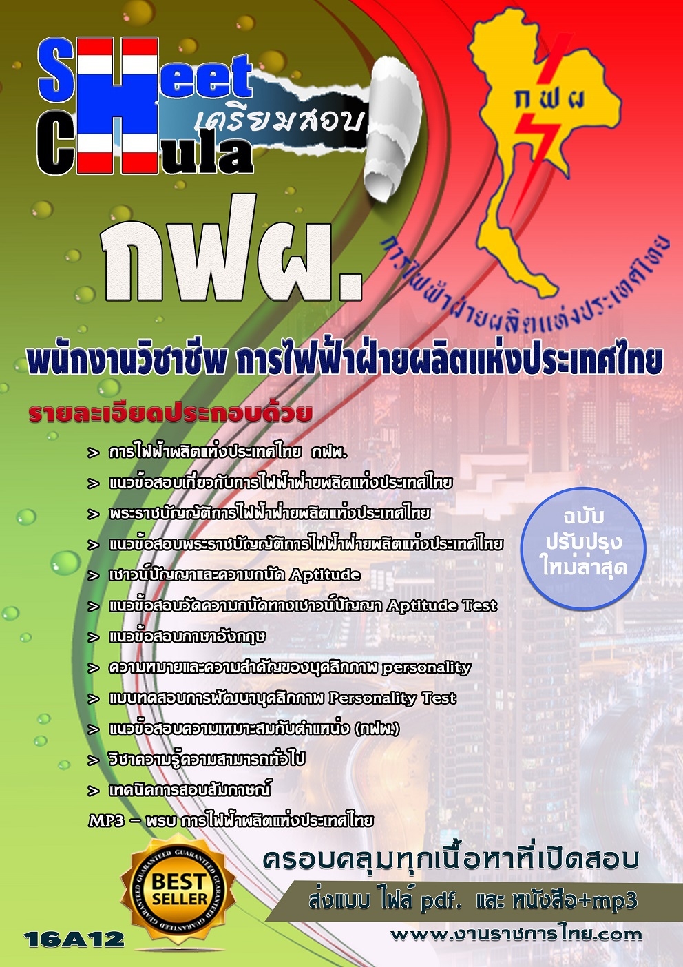 พนักงานวิชาชีพ กฟผ