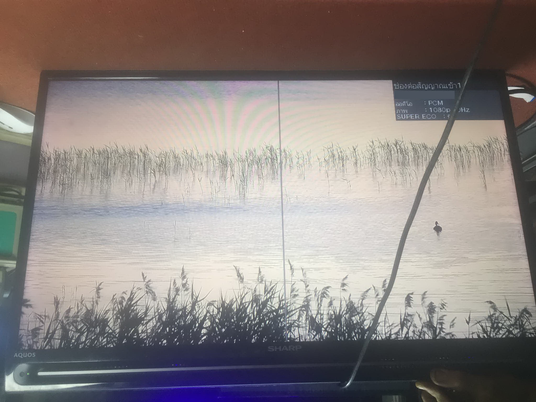 Main Board SHARP LC-32SA4500X : QPWBXG782WJZZ