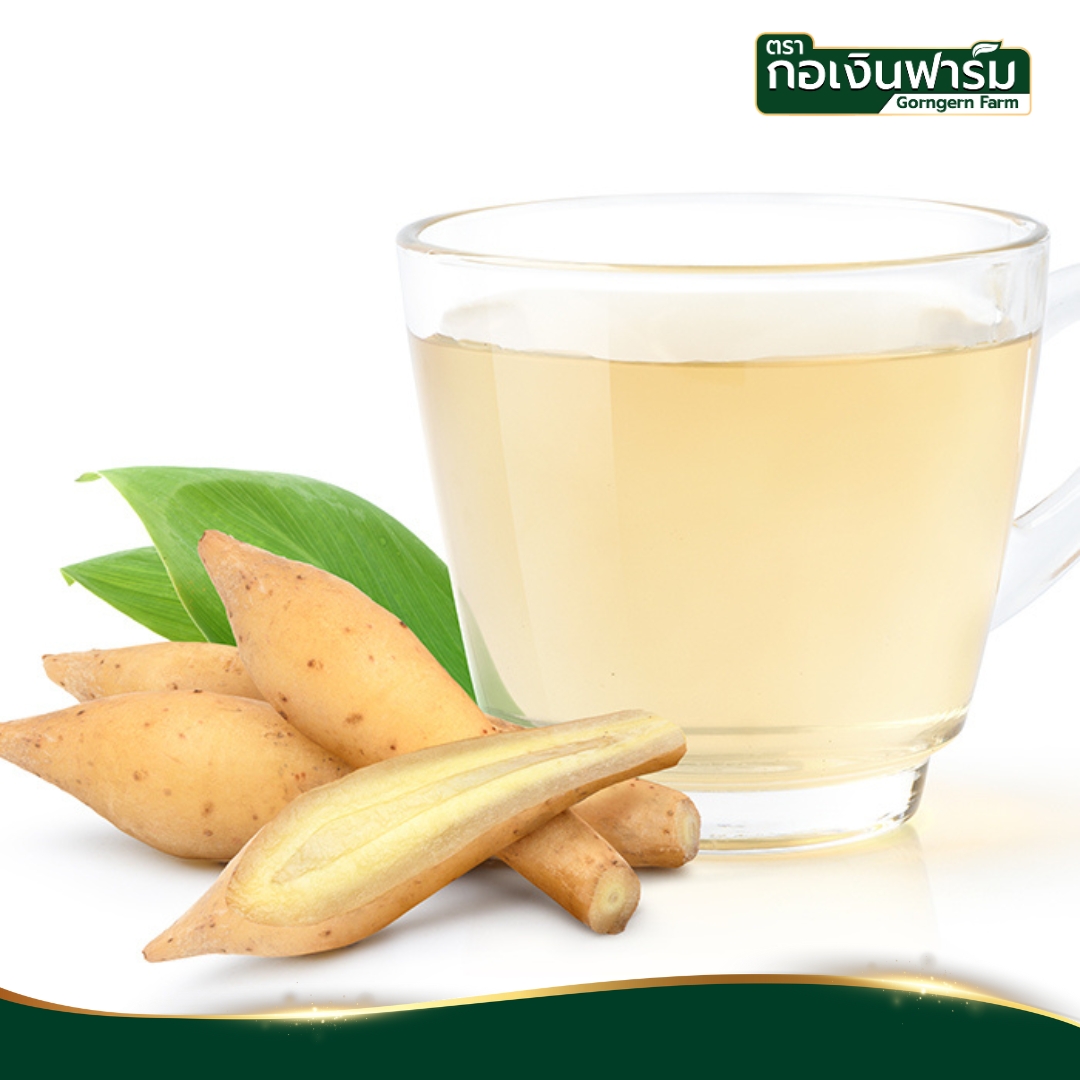 กระชายขาวผง Fingerroot powder ตรากอเงินฟาร์ม