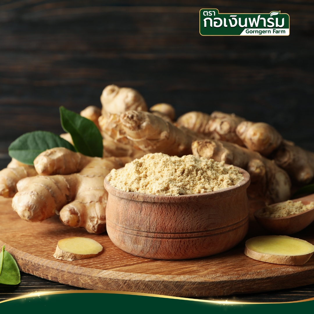 ขิงผง Ginger Powder ตรากอเงินฟาร์ม