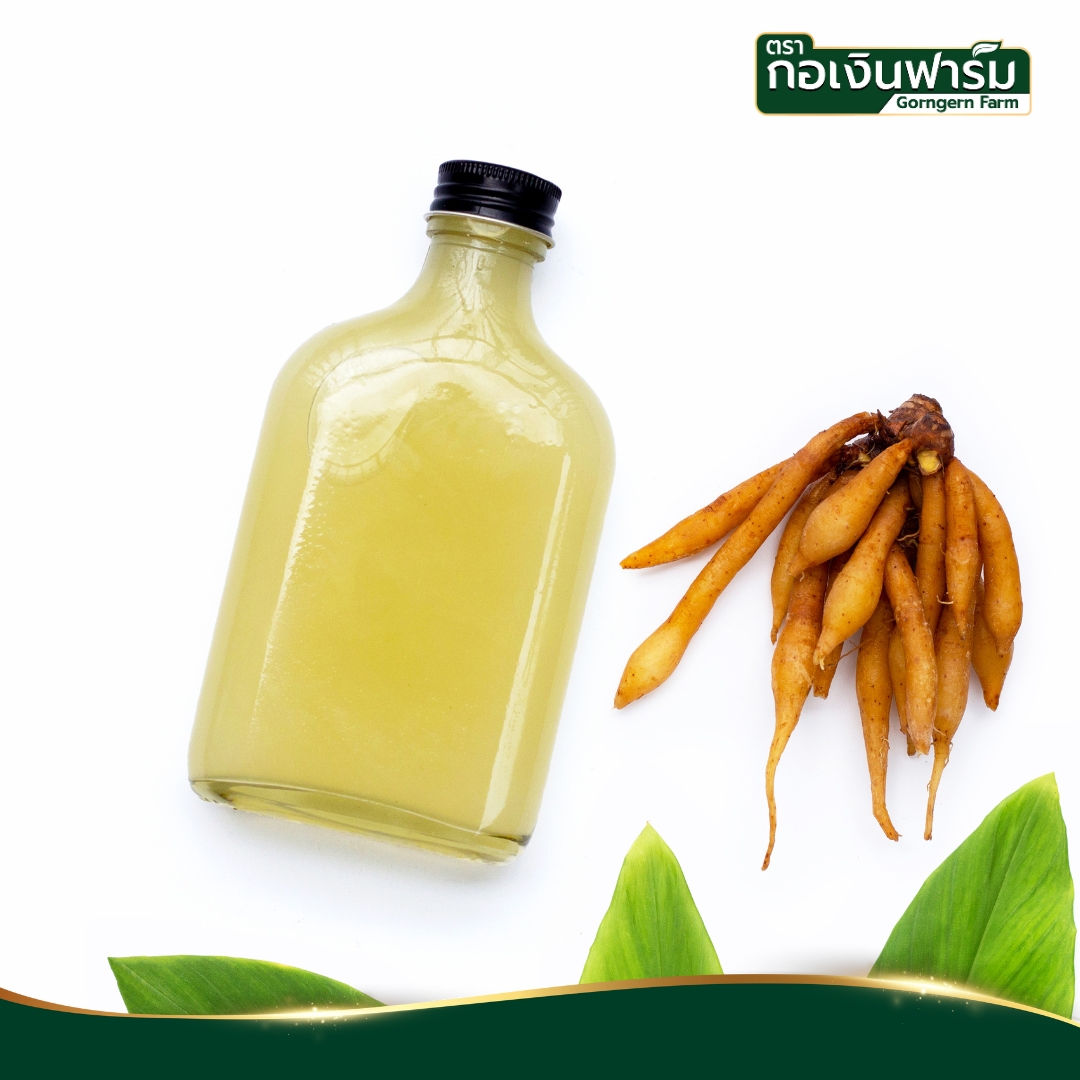 กระชายขาวผง Fingerroot powder ตรากอเงินฟาร์ม