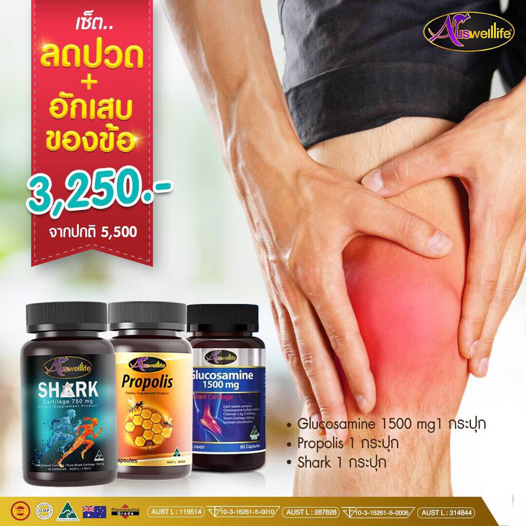 คู่ลดอักเสบและข้อ X2 ( กลูโคซามีน 60 แตปซูล + SHARK 60 แคปซูล +Propolis 60 แคปซูล )