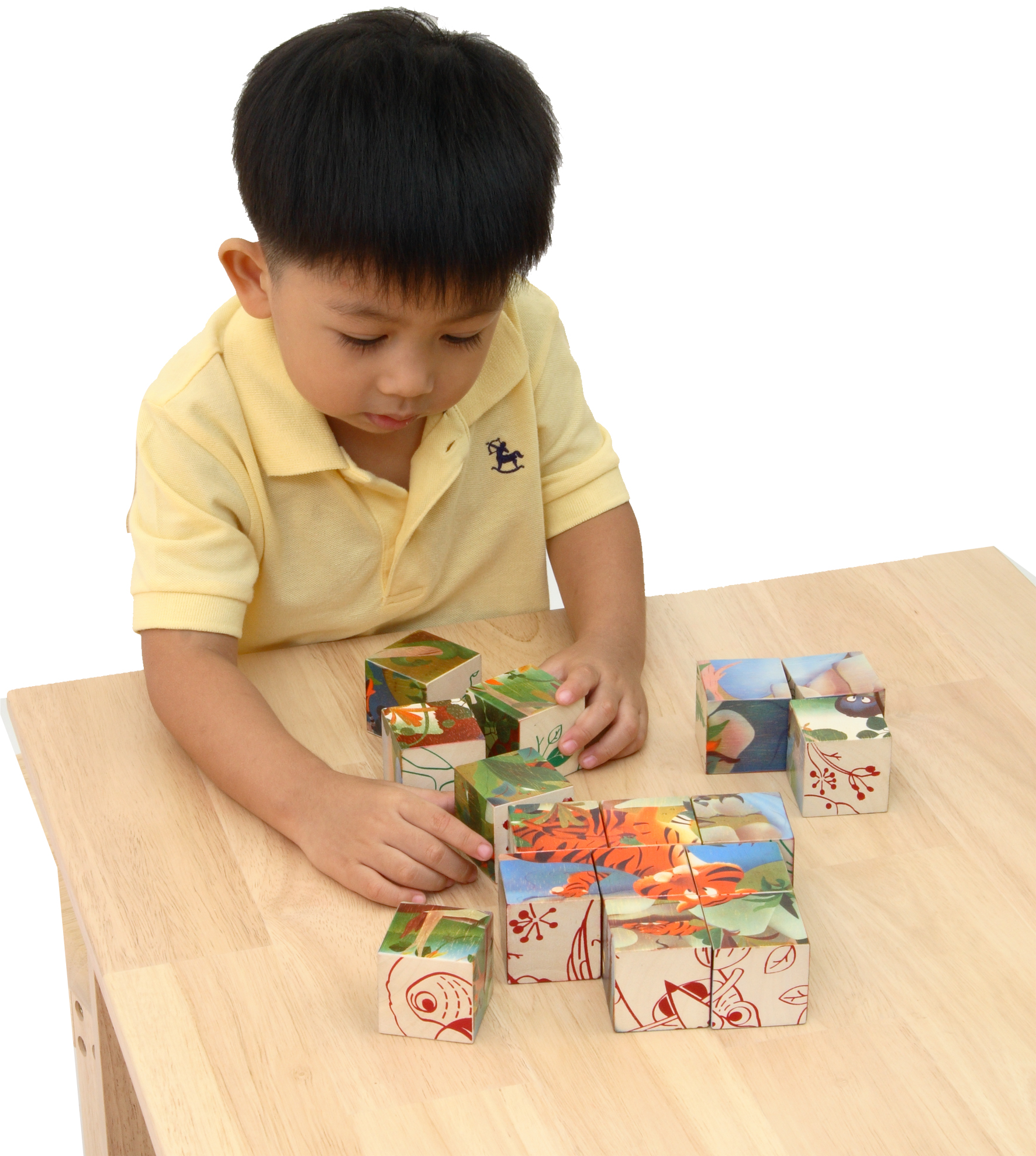 ลูกเต๋าสารพัดสัตว์ ของเล่นเสริมเชาน์ปัญญา เกมส์พัฒนาสมอง ของเล่นไม้