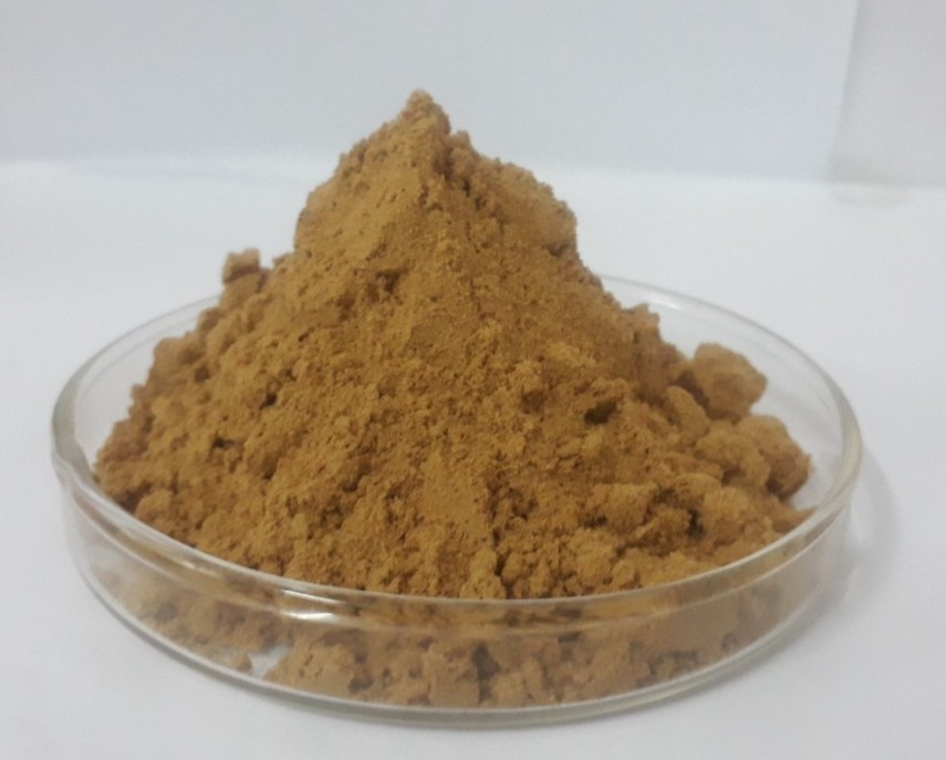 สารสกัดจากต้นกระบองเพชร Cactus Extract