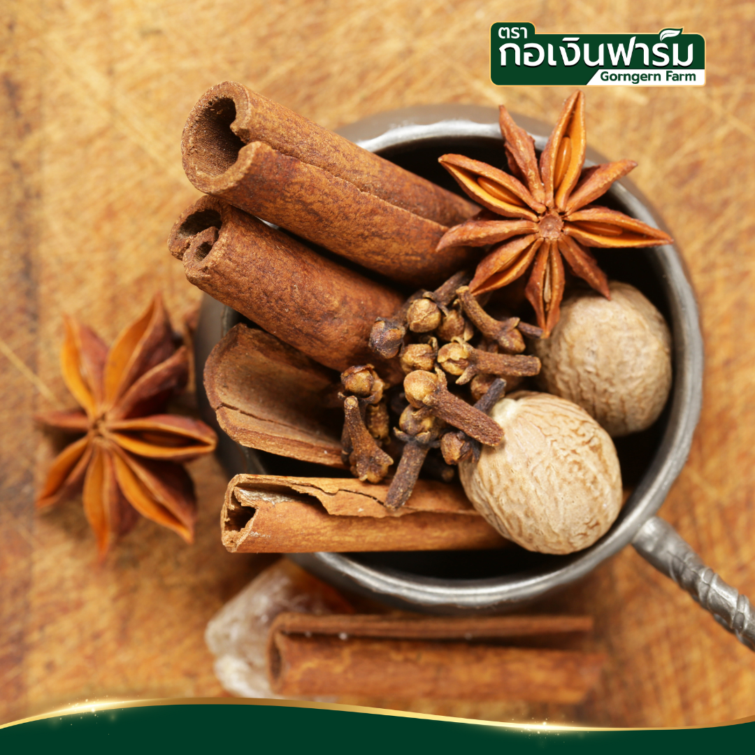 โป๊ยกั๊กอบแห้ง Dried Star anise ตรากอเงินฟาร์ม