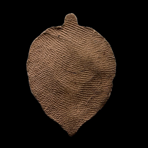 พระโพธิจักร ท่านพ่อลี วัดอโศการาม สมุทรปราการ (2)