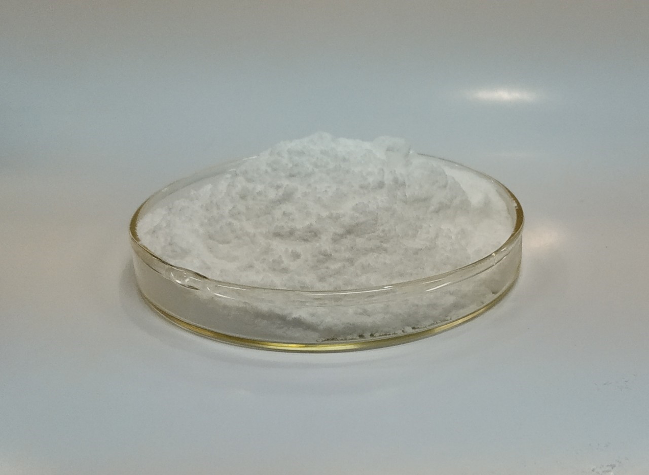 แอล-กลูตามีน L-Glutamine