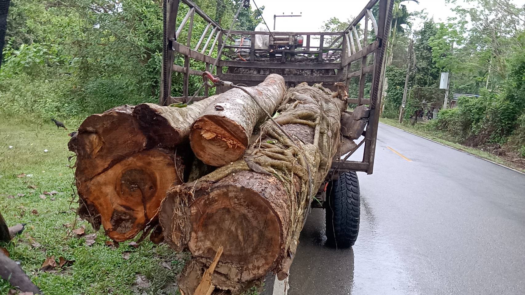 วินซ์ไฟฟ้า 17,500 ปอนด์ 24v.