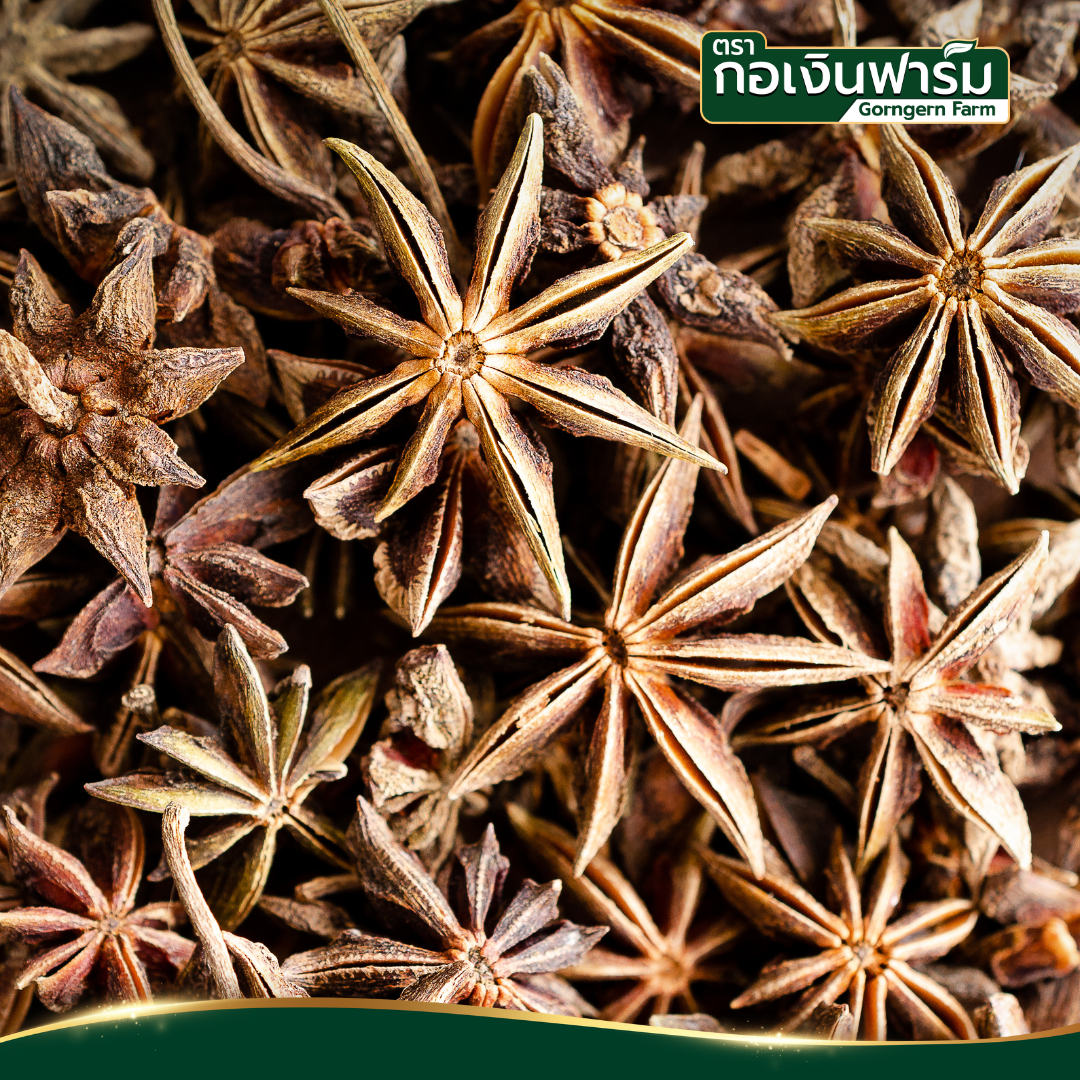 โป๊ยกั๊กอบแห้ง Dried Star anise ตรากอเงินฟาร์ม