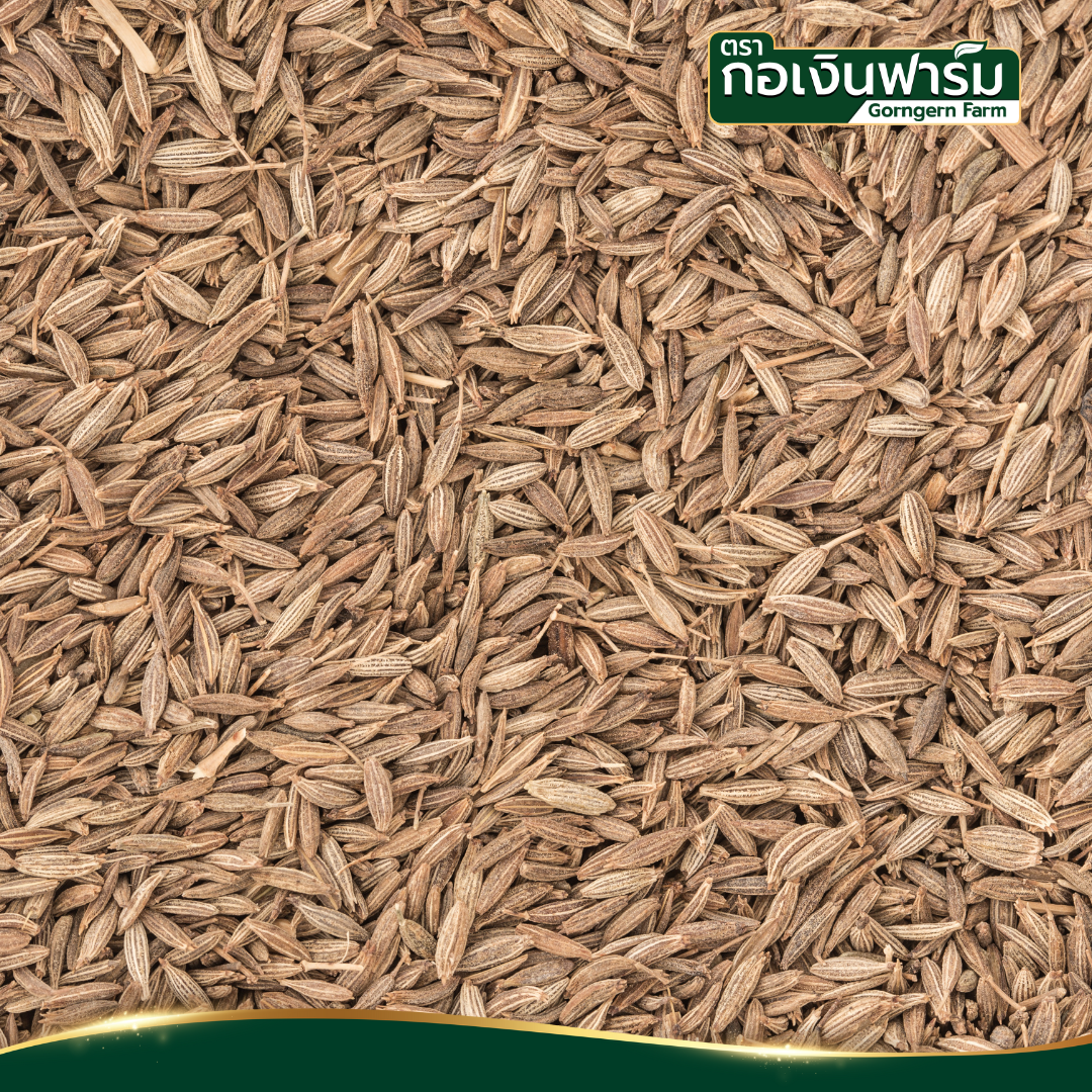 ยี่หร่าอบแห้ง ตรา กอเงินฟาร์ม (Dried Cumin ) ขนาด 200 กรัม