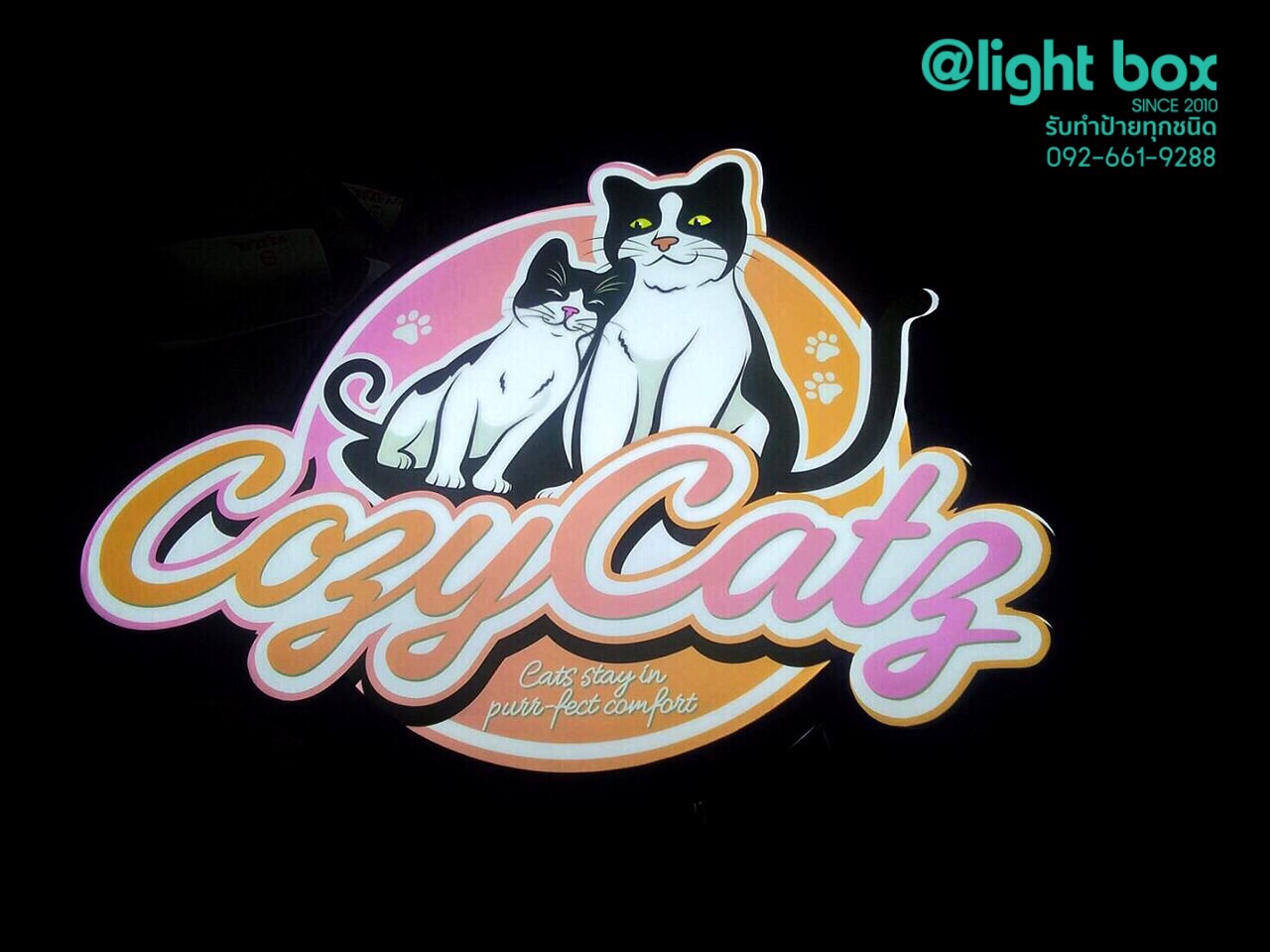 กล่องไฟ #CosyCats จัดส่งนนทบุรี สำเนา