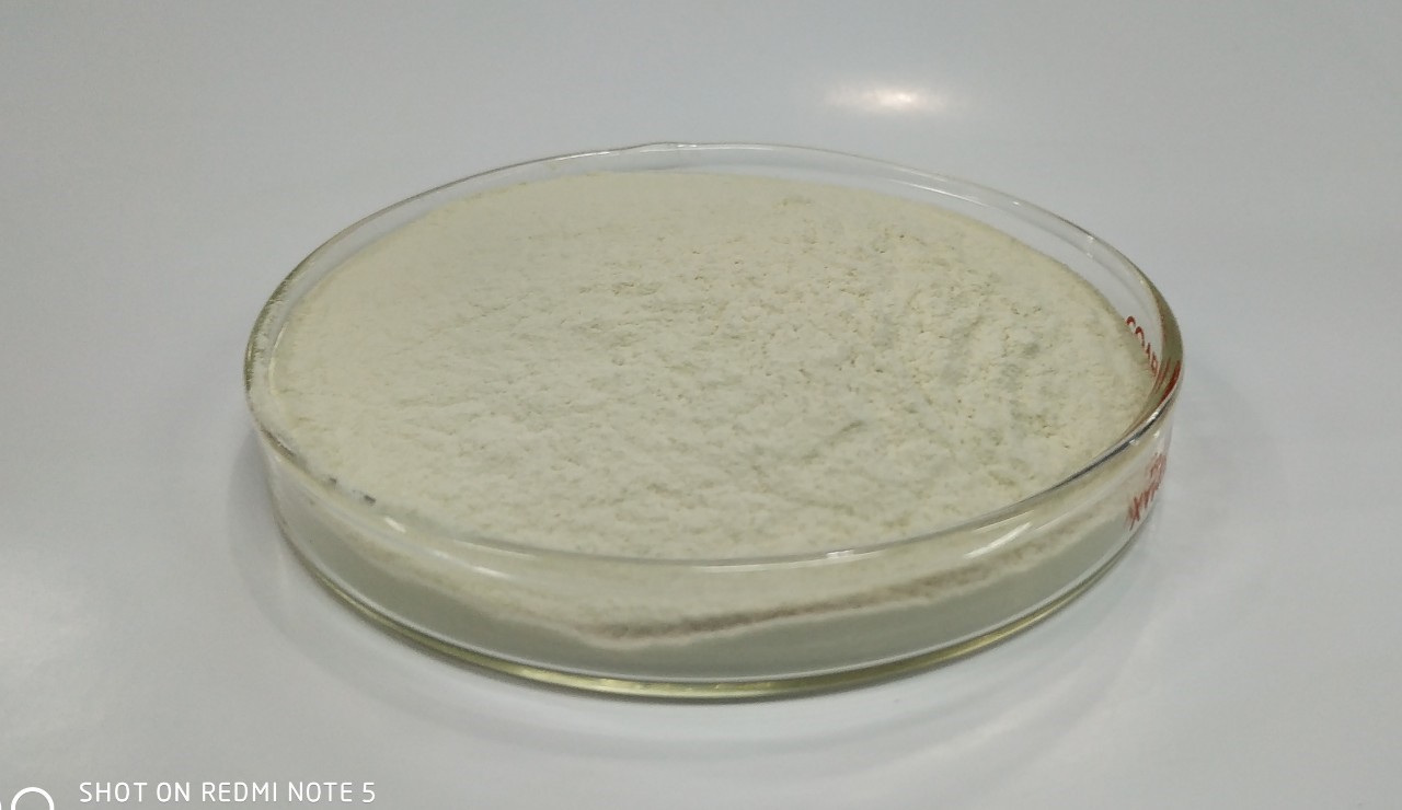 ไคโตซาน Chitosan (Crab)