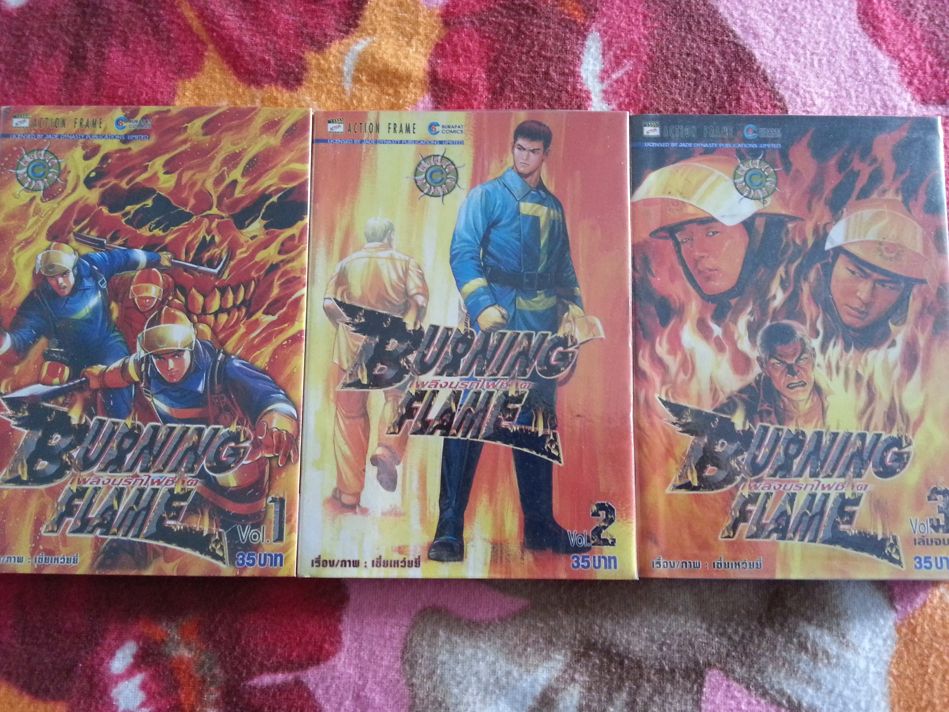 Burning Flame เพลิงนรกไฟชีวิต ( 1-3 เล่มจบ)