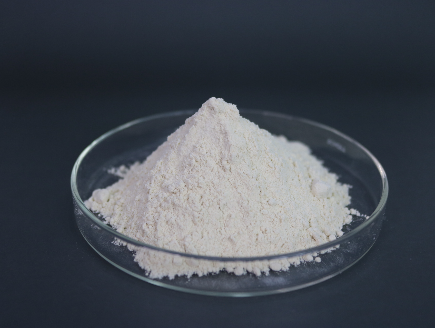วีทกลูเตนท์ แป้งโปรตีน Wheat Gluten