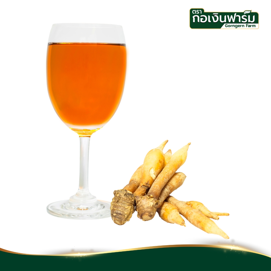 กระชายขาวผง Fingerroot powder ตรากอเงินฟาร์ม