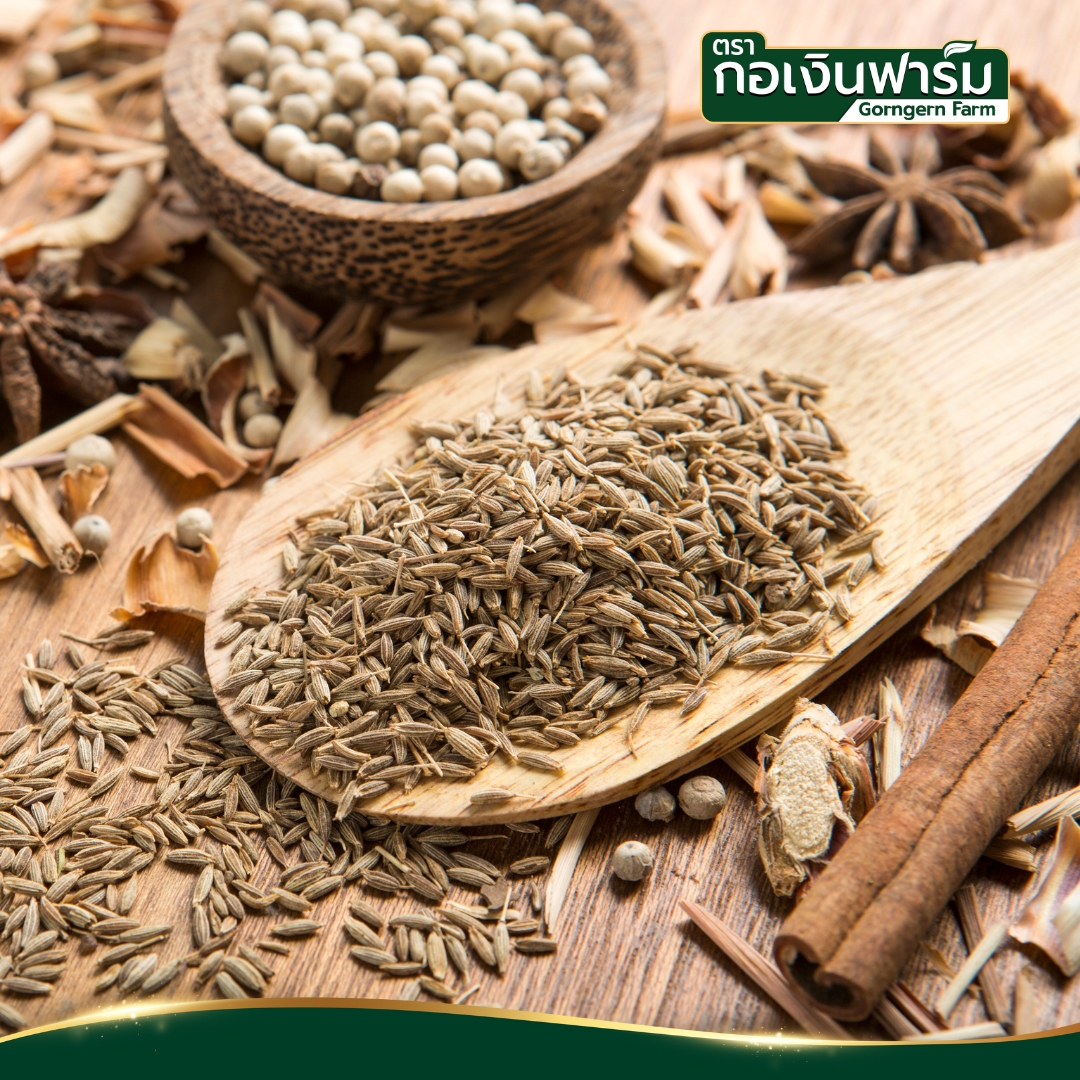 ยี่หร่า ตรา กอเงินฟาร์ม Cumin Gorngern Farm Brand บรรจุขวด ฝาบดแบบหมุน ขนาด 45 กรัม