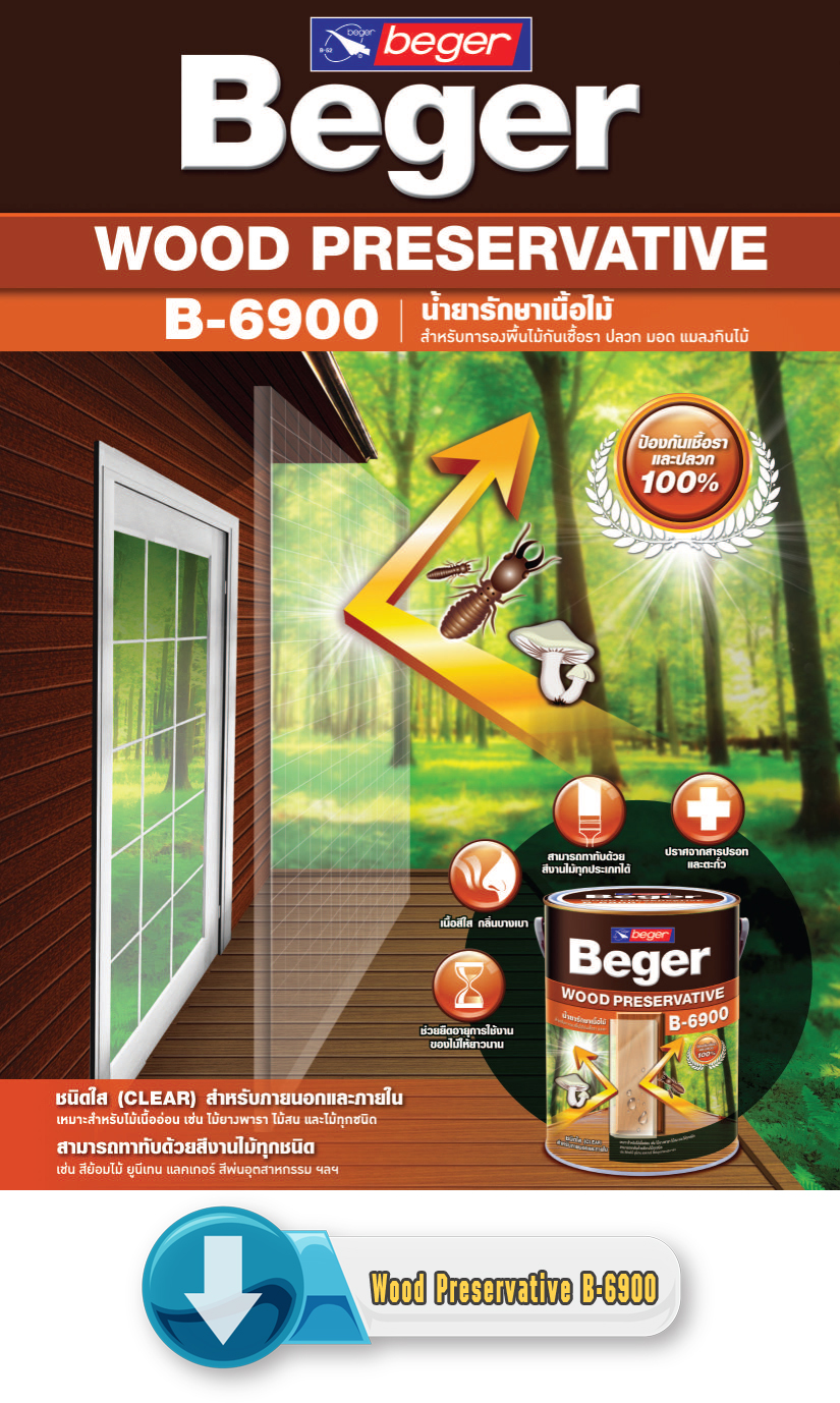 Wood Preservative B-6900