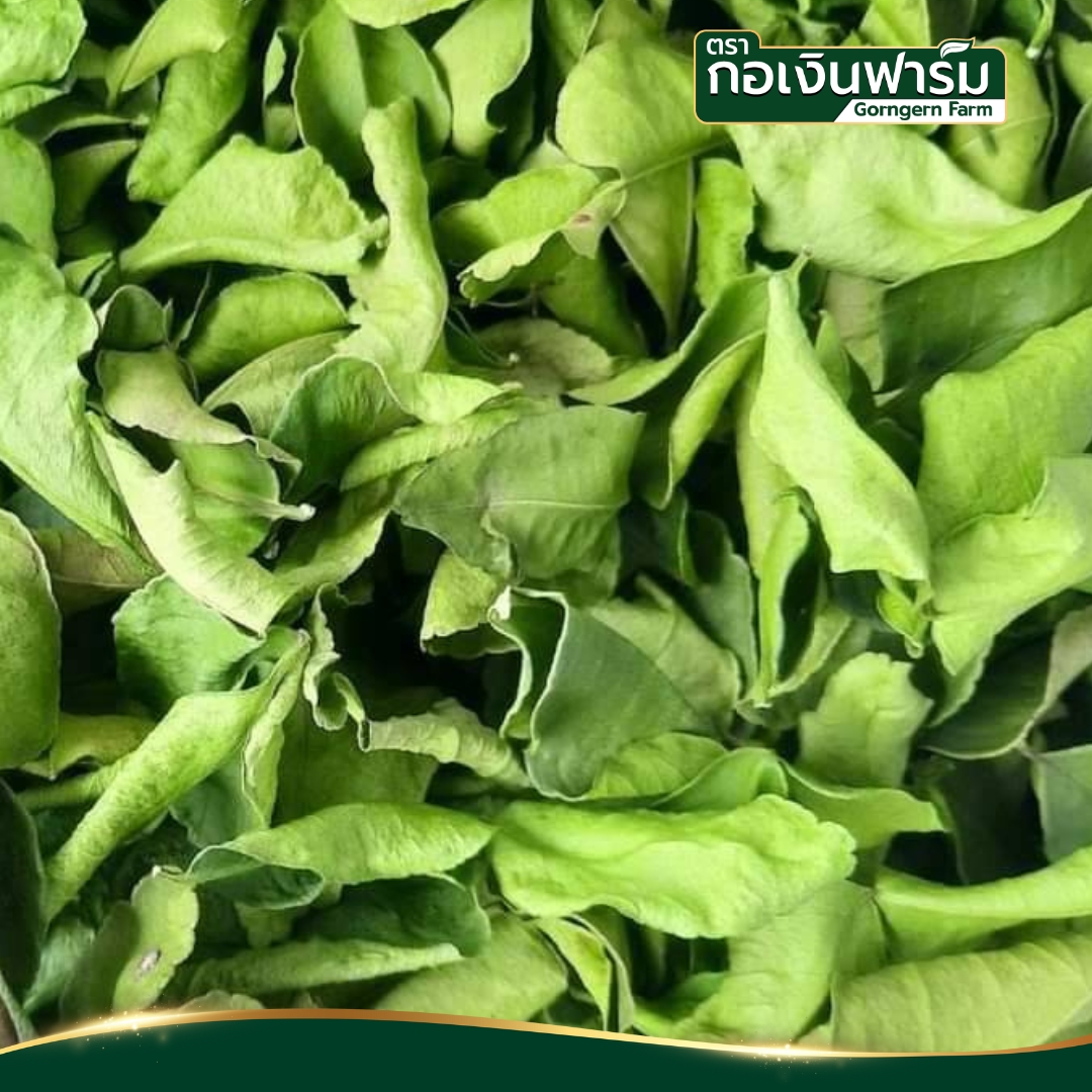 มะกรูดผง Kaffir Lime Powder ตรากอเงินฟาร์ม