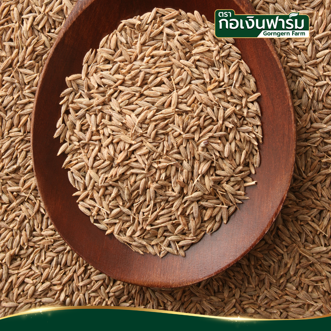 ยี่หร่าอบแห้ง ตรา กอเงินฟาร์ม (Dried Cumin ) ขนาด 200 กรัม