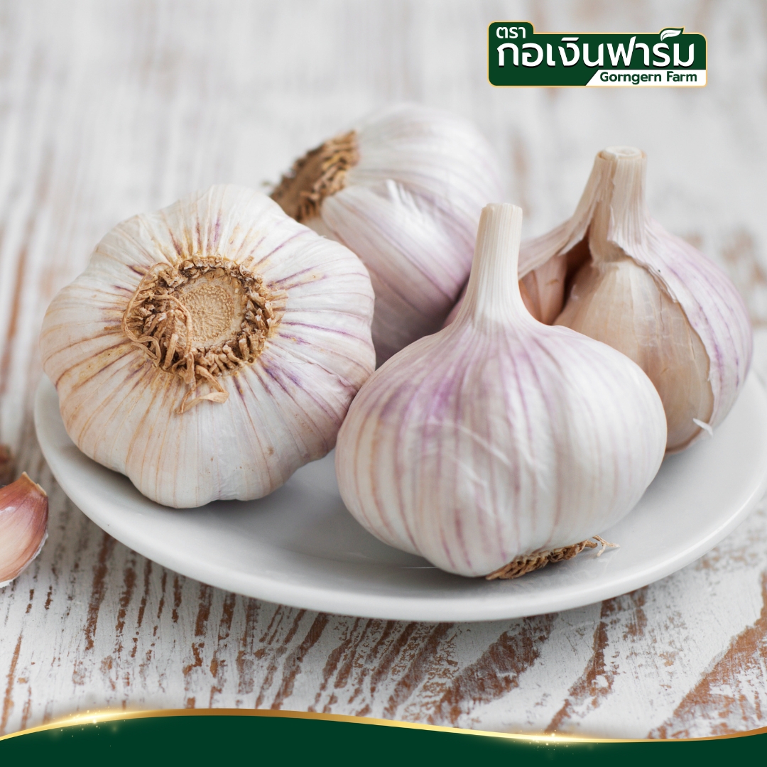 กระเทียม Garlic ตรากอเงินฟาร์ม