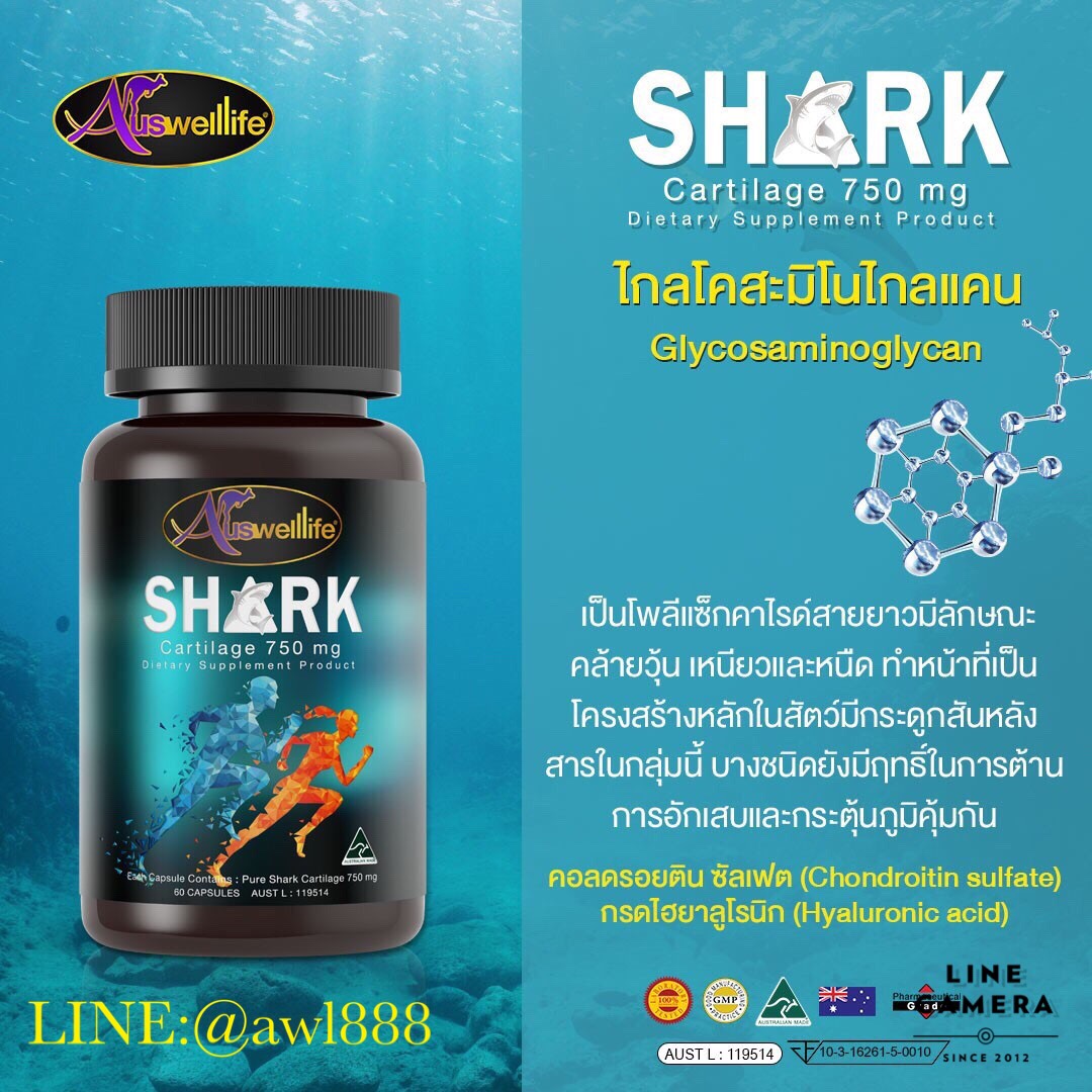 คู่แข็งแรง X2 ( กลูโคซามีน 60 แตปซูล + SHARK 60 แคปซูล +แคลเซียม 60 แคปซูล )