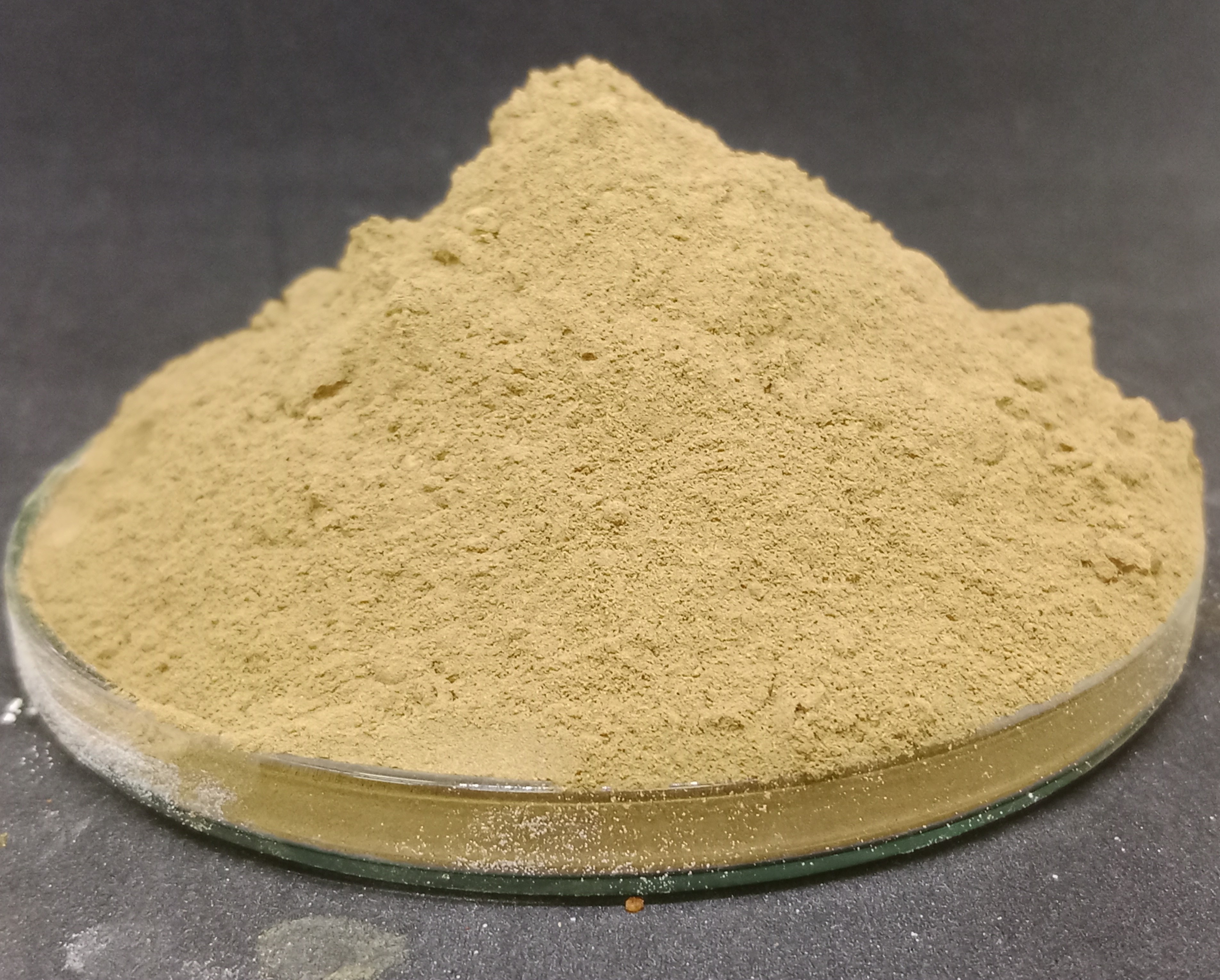 สารสกัดจากมะขามแขก Senna Extract 40%