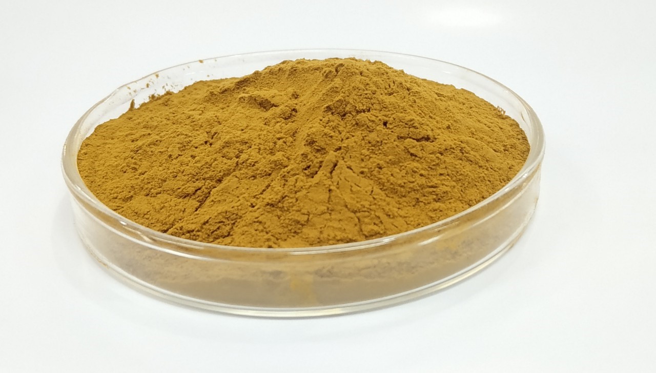 สารสกัดจากจมูกข้าวสาลี Wheat Germ Extract