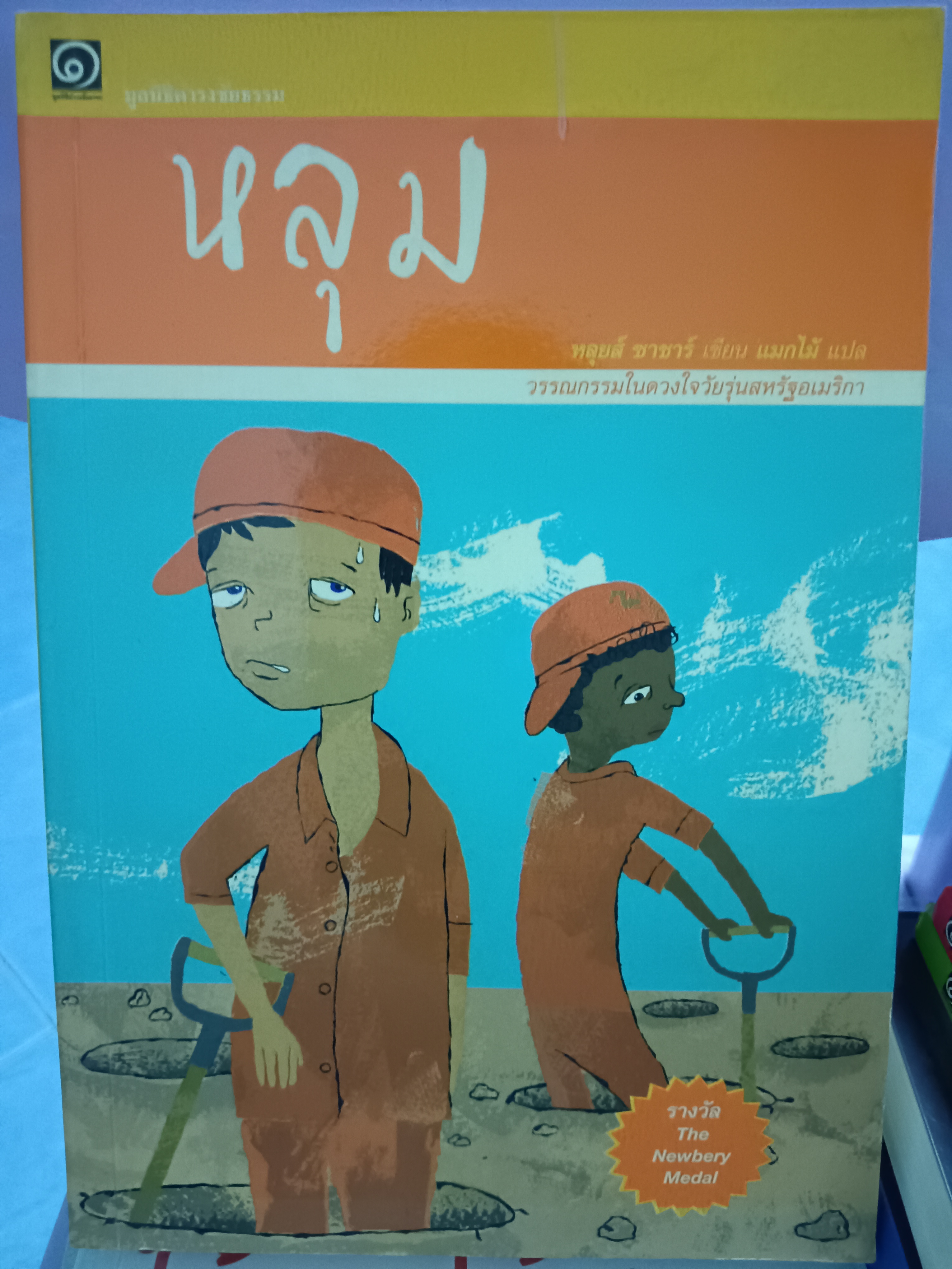 หลุม