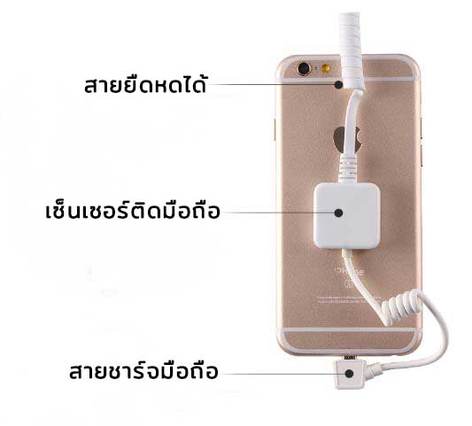 ขาตั้งกันขโมย CJ550