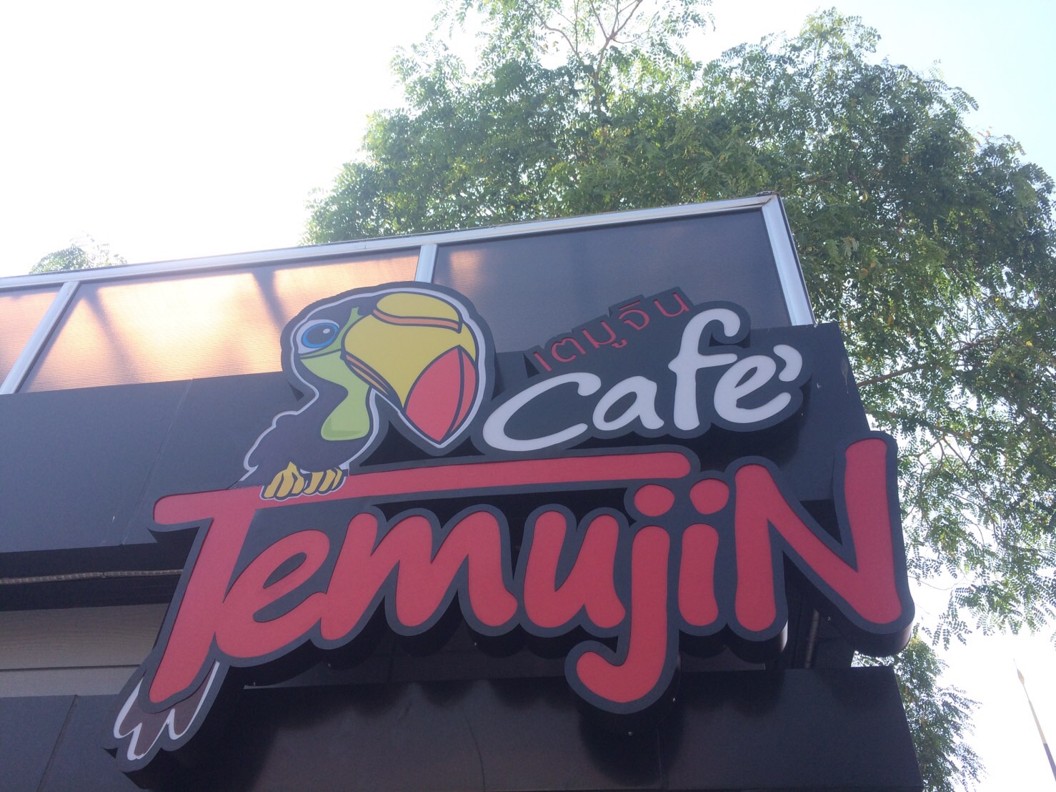 ป้ายร้านกาแฟเตมูจิน (ออกแบบโลโก้ร้านกาแฟ)