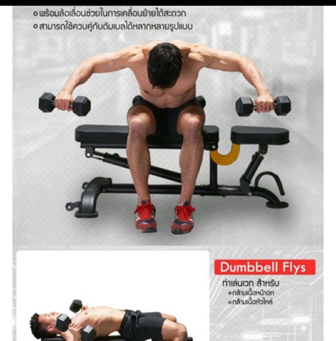 ม้ายกดัมเบล-บาร์เบล Maxnum