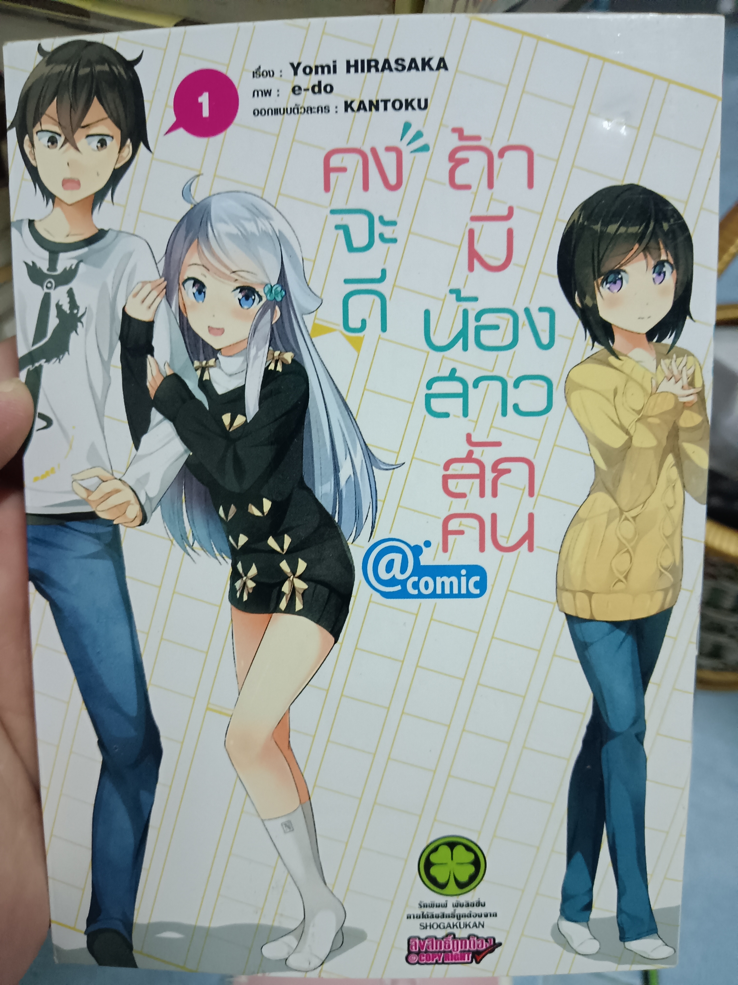 คงจะดีถ้ามีน้องสาวสักคน เล่ม1