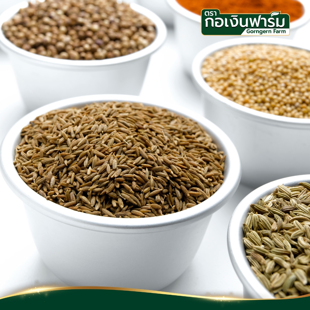 ยี่หร่า ตรา กอเงินฟาร์ม Cumin Gorngern Farm Brand บรรจุขวด ฝาบดแบบหมุน ขนาด 45 กรัม