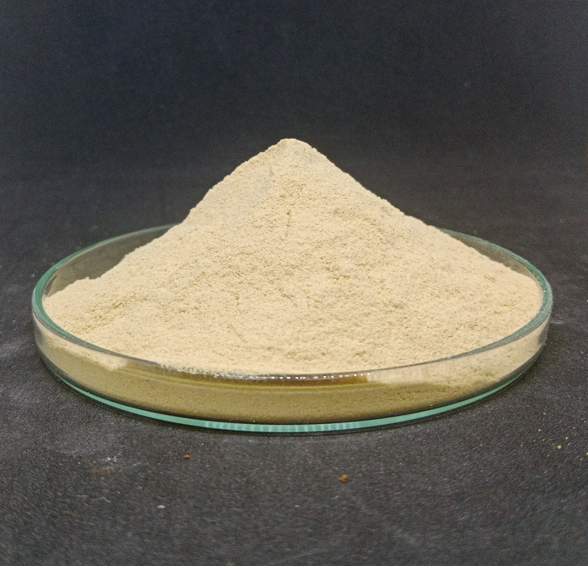 สารสกัดจากยีสต์ Yeast Extract