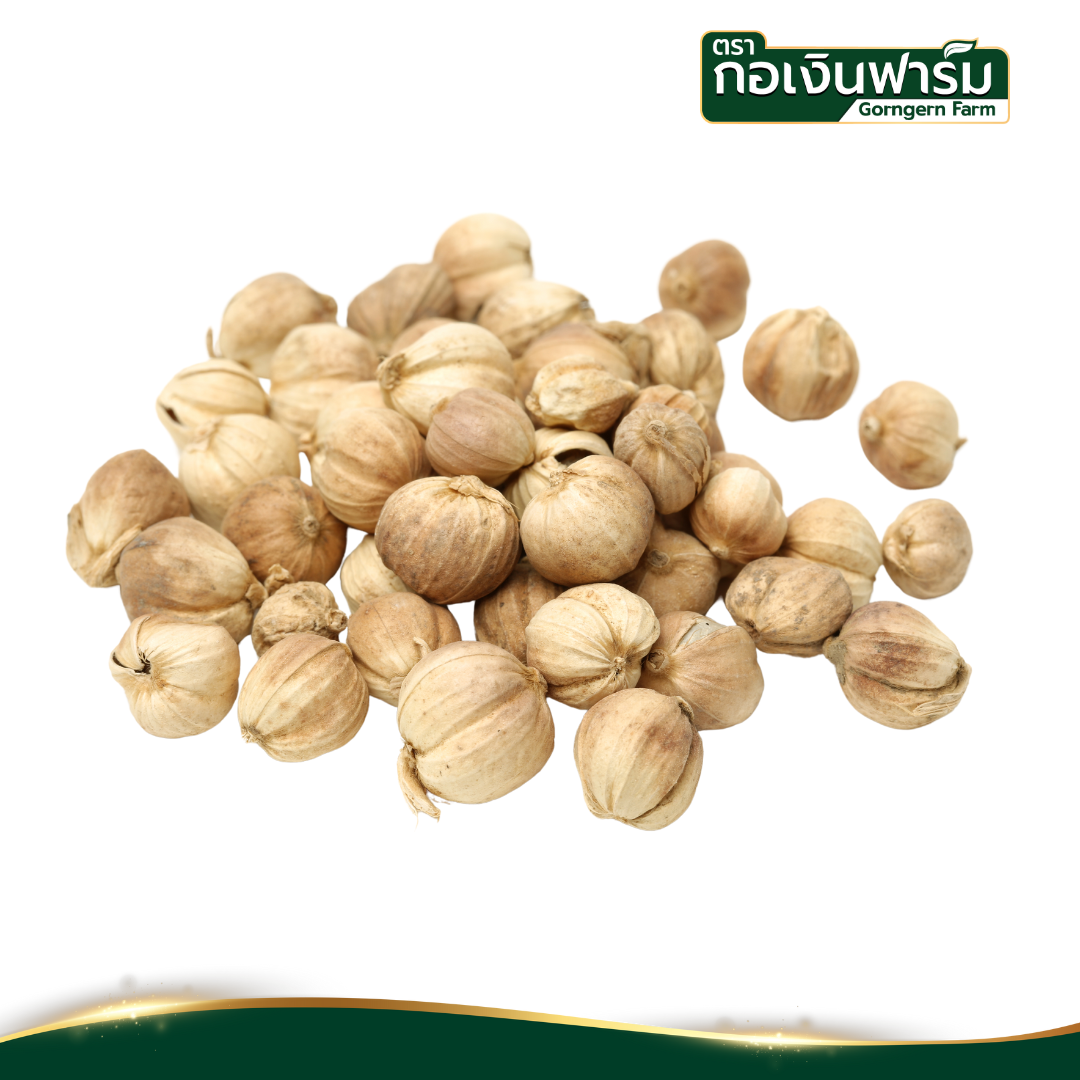 กระวานอบแห้ง Dried Siam Cardamom ตรา กอเงินฟาร์ม