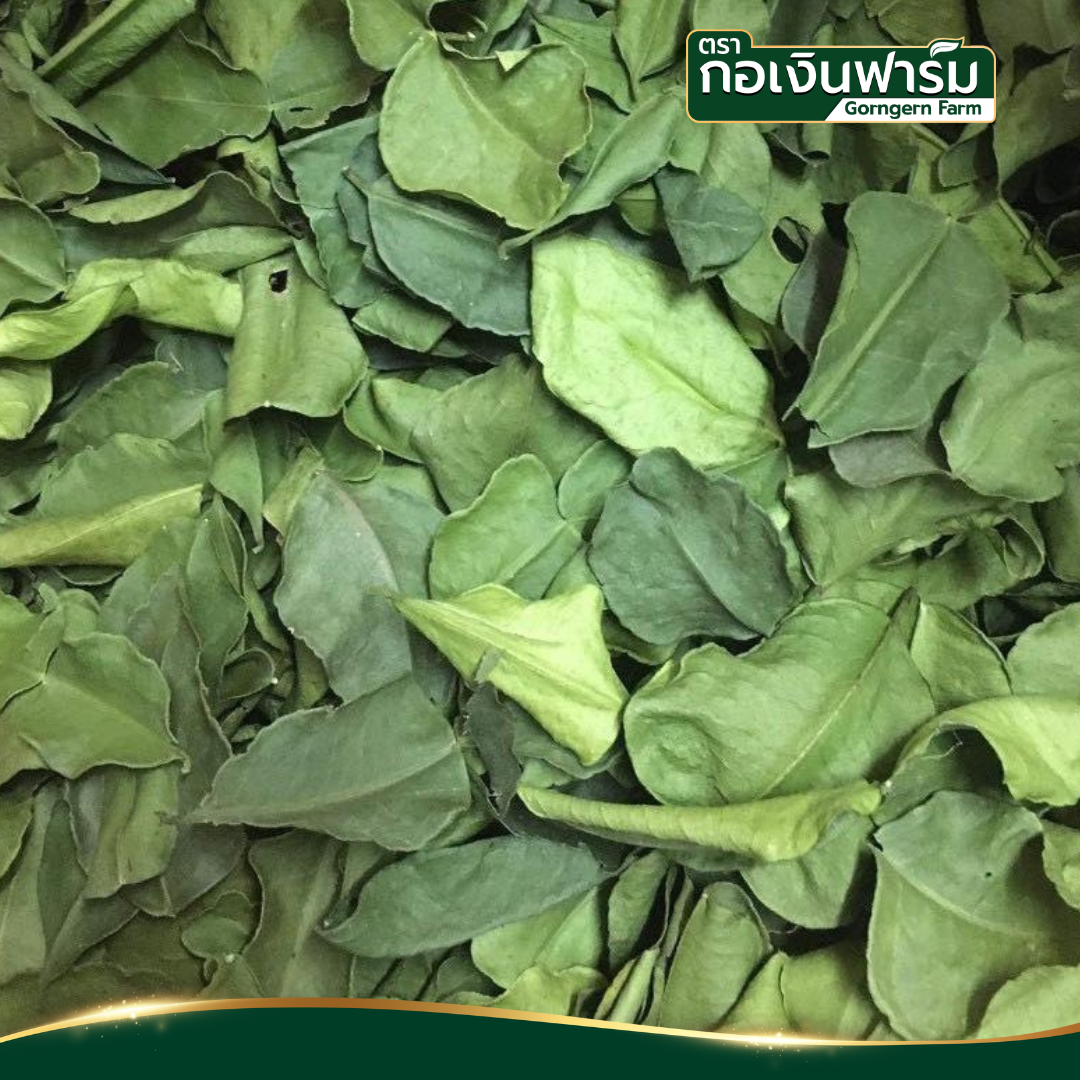 ใบมะกรูดอบแห้ง Dried Kaffir Lime ตรากอเงินฟาร์ม ขนาด 50 กรัม