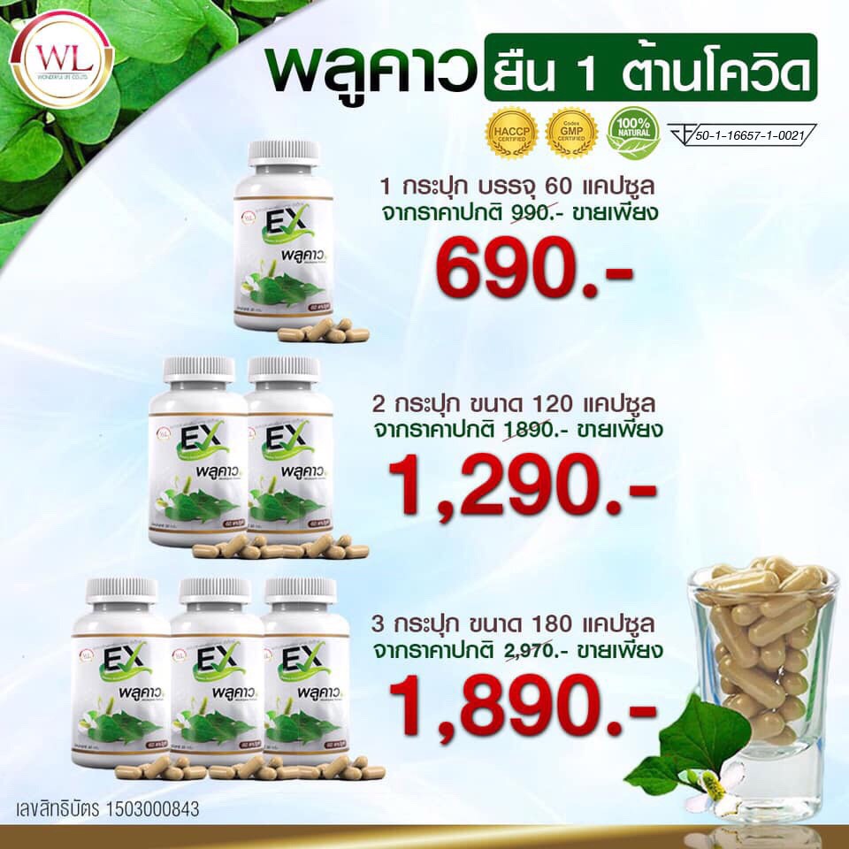 Auswelllife พลูคาว