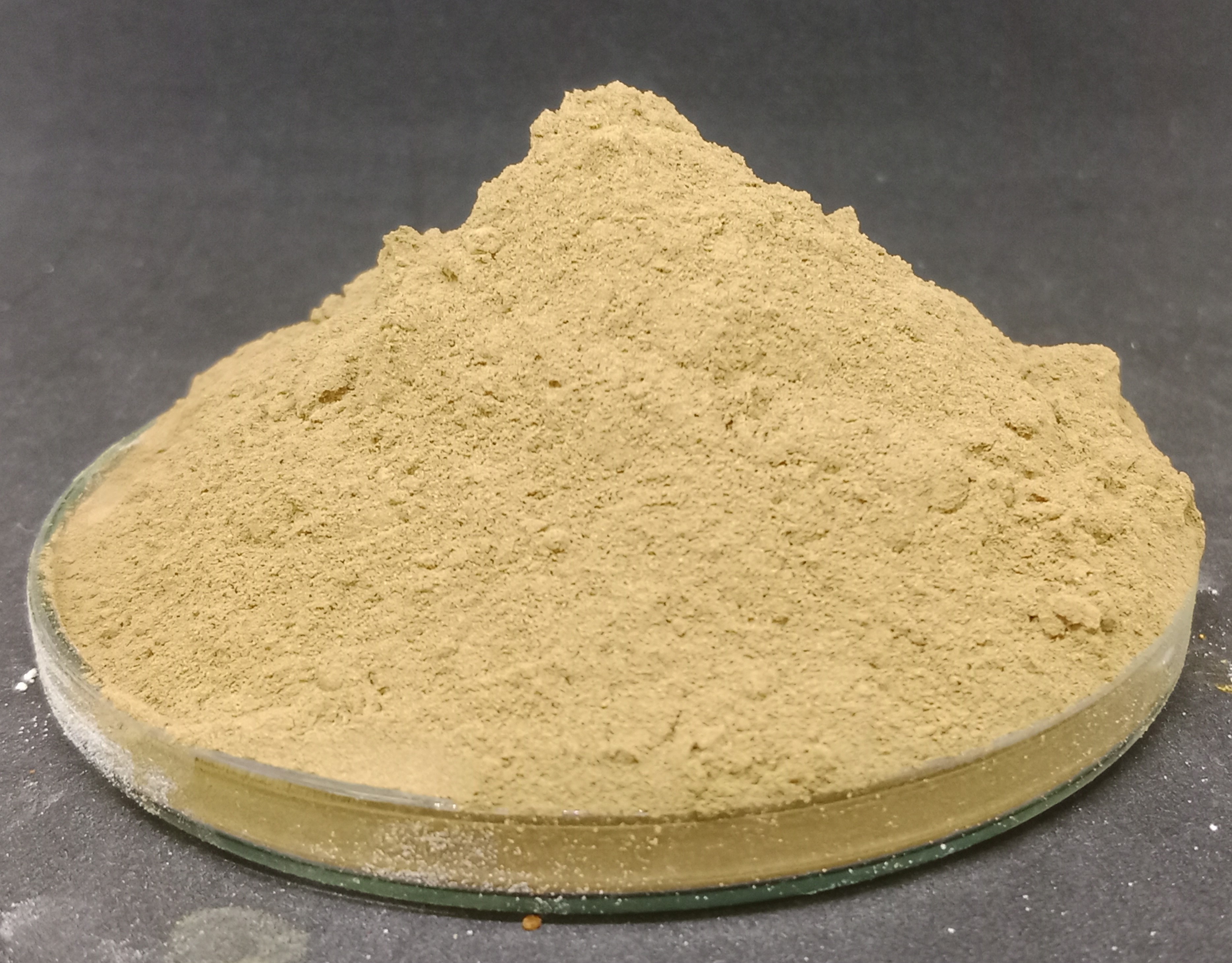 สารสกัดจากมะขามแขก Senna Extract 40%