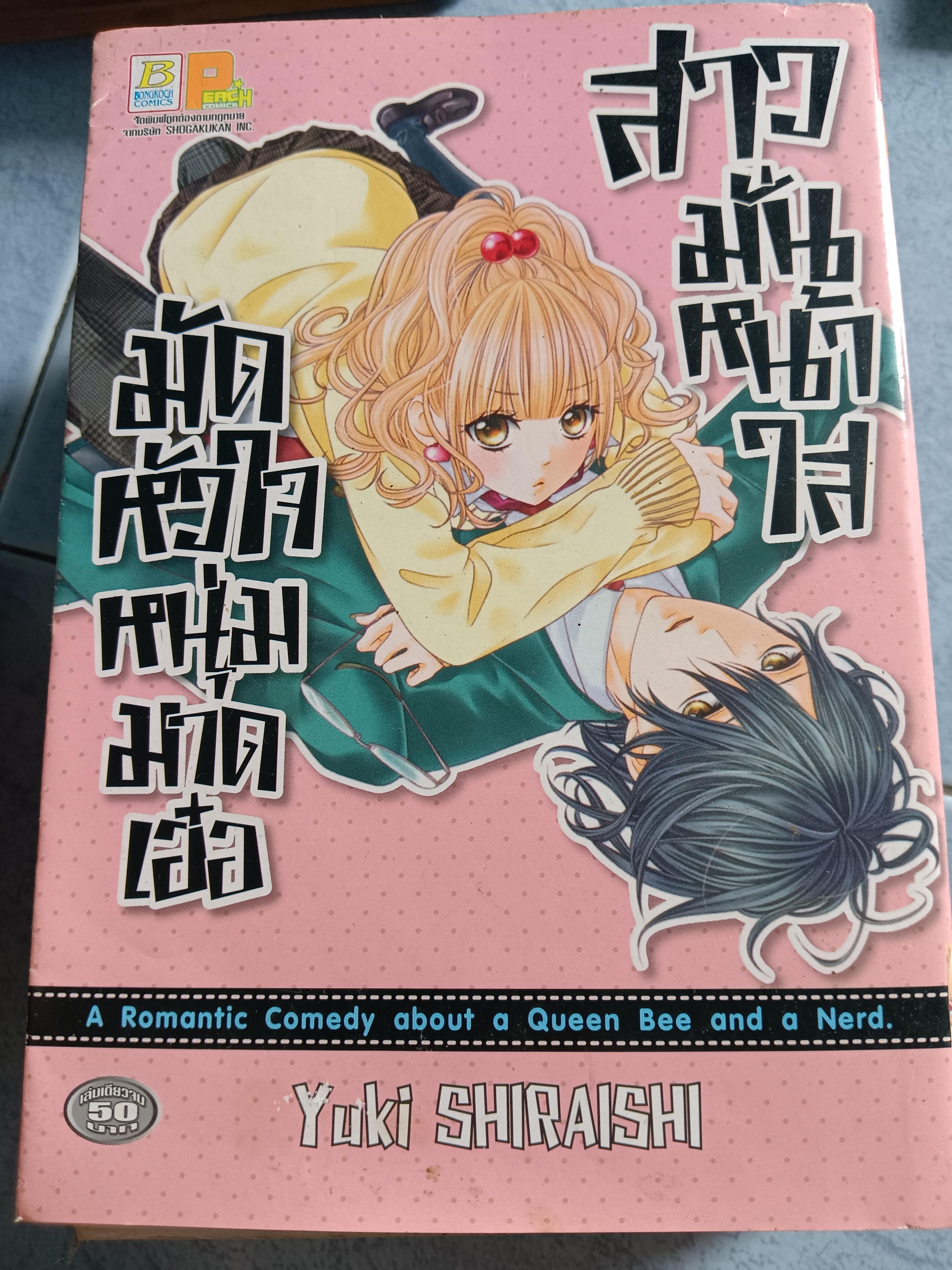 การ์ตูน สาวมั่นหน้าใสมัดหัวใจหนุ่มมาดเอ๋อ
