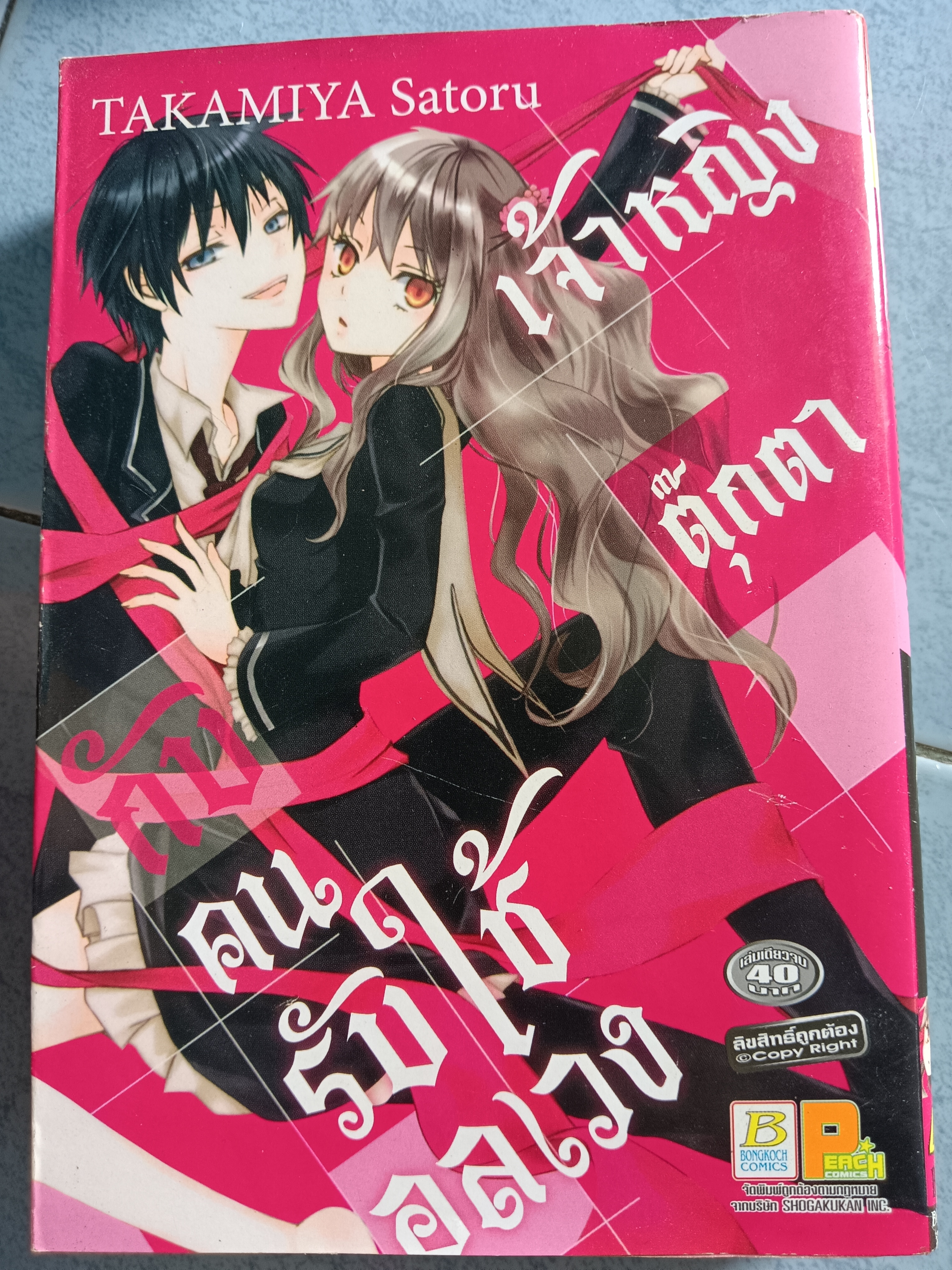 การ์ตูน เจ้าหญิงตุ๊กตากับคนรับใช้อลเวง
