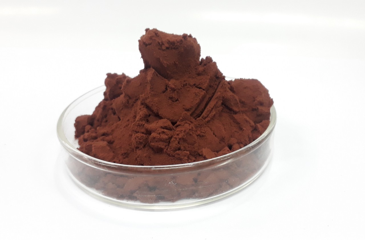 สารสกัดถั่วเหลือง Touchi Extract (soybean)