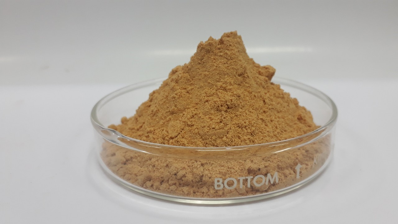 สารสกัดจากเก๋ากี้ Wolfberry Extract