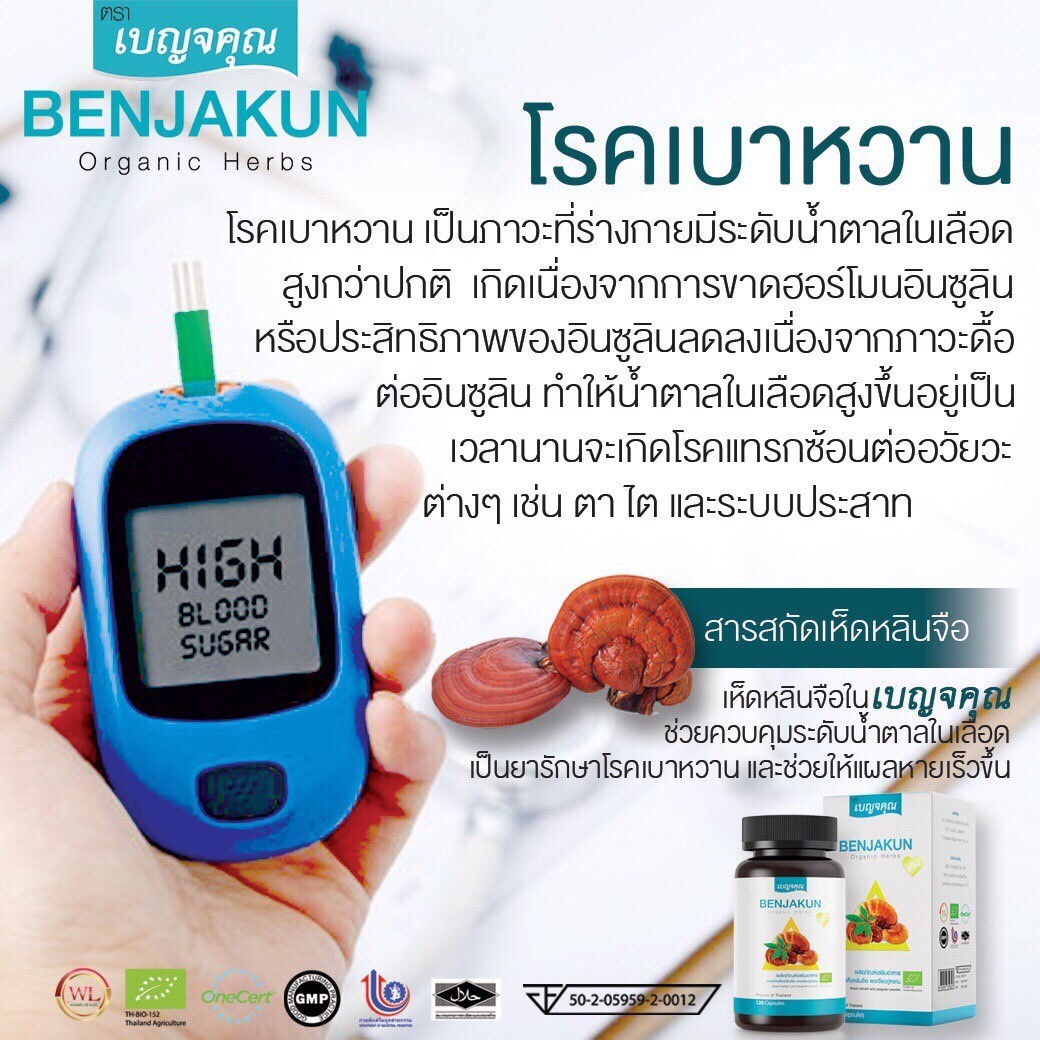 Auswelllife Benjakun + Liver Tonic เบญจคุณ ล้างตับ 60 แคปซูล