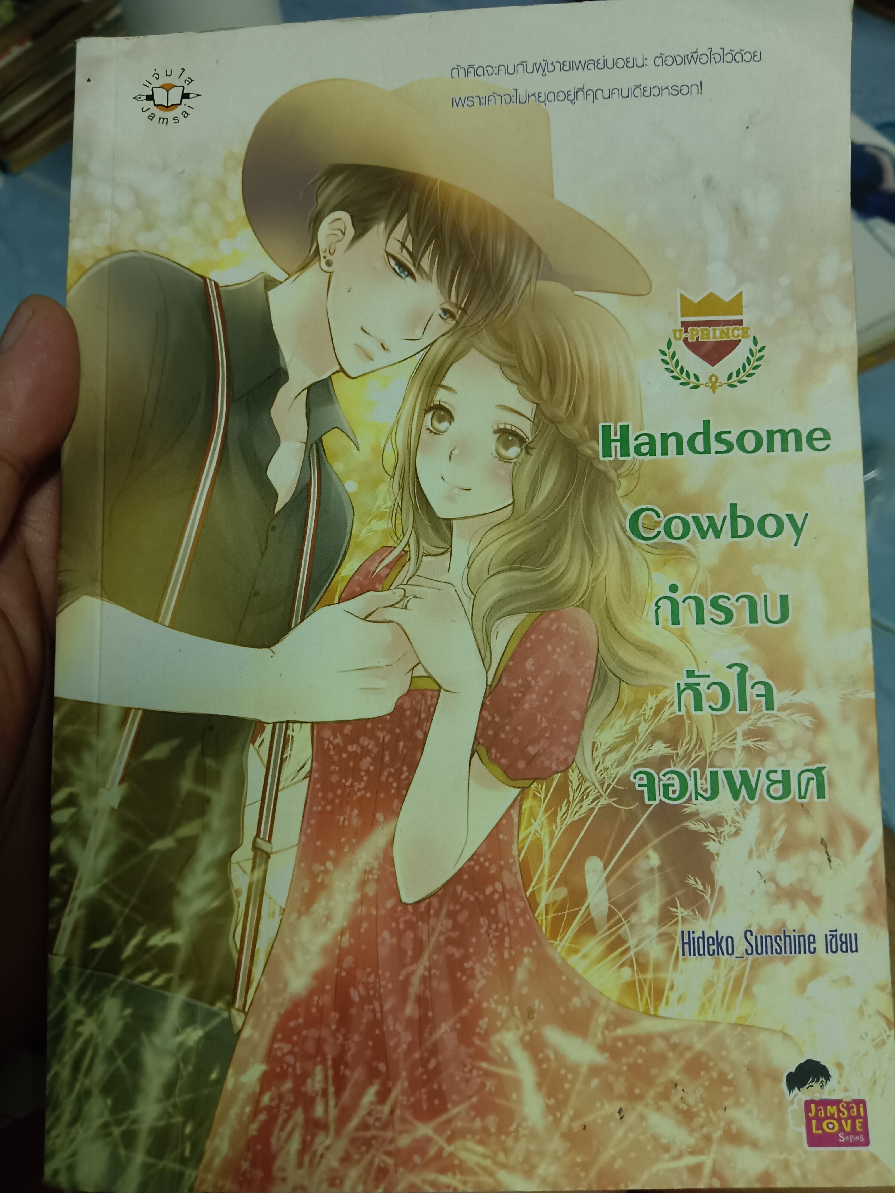Handsome Cowboy กำราบหัวใจจอมพบศ