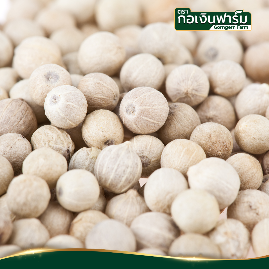 พริกไทยขาวอบแห้ง Dried White Pepper ตรากอเงินฟาร์ม ขนาด 200 กรัม