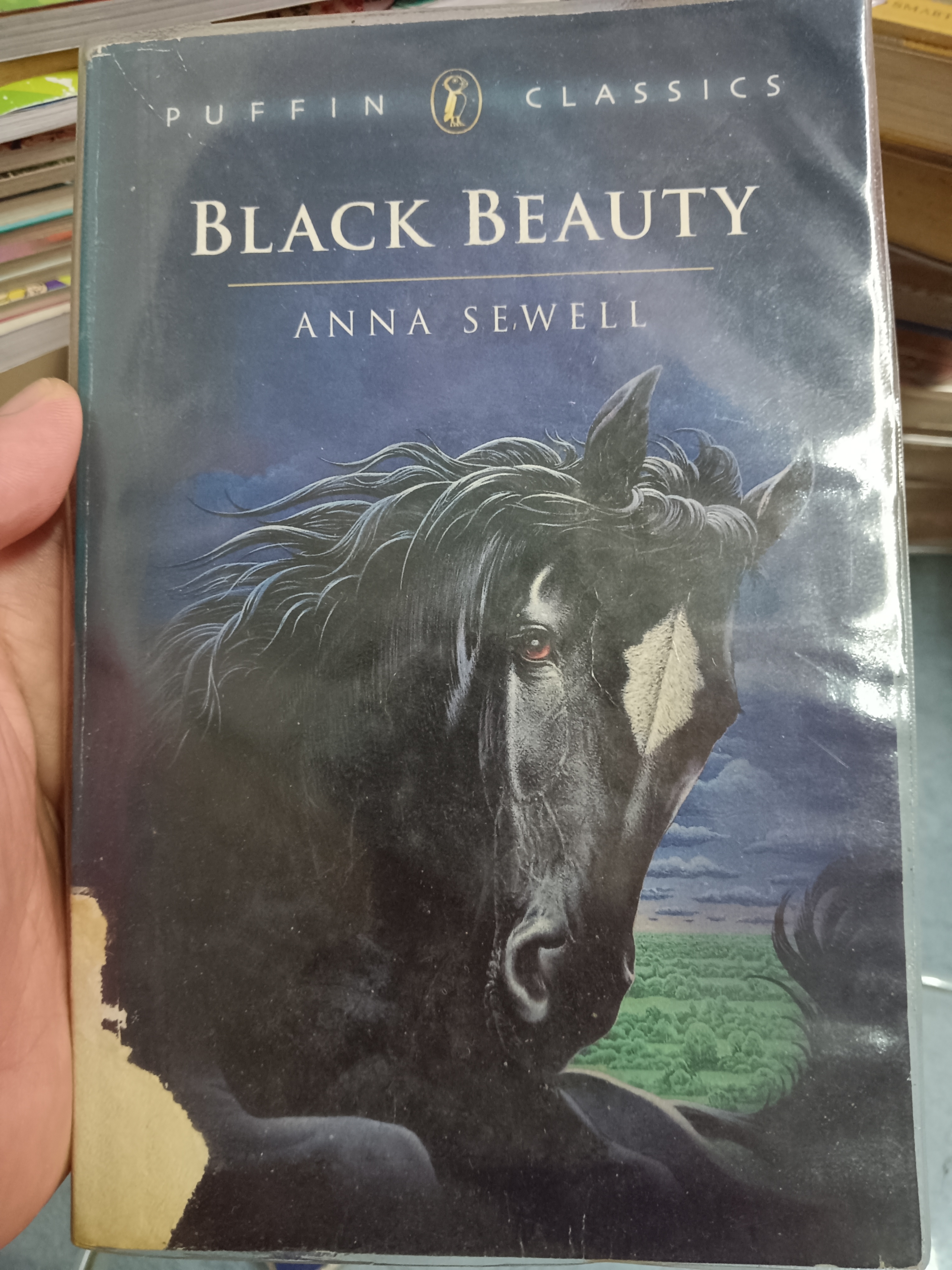 BLACK BEAUTY/ANNA SEWELL