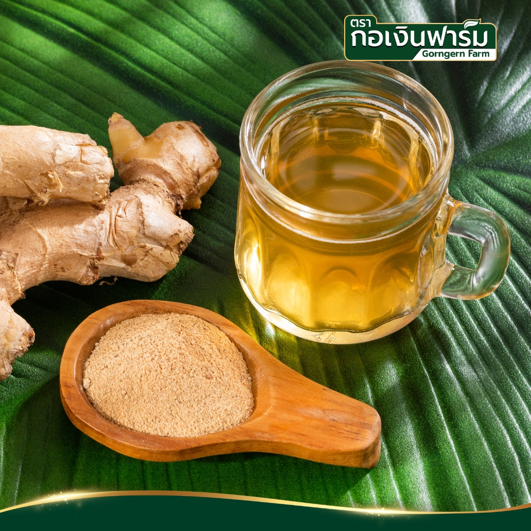 ขิงอบแห้ง Dried Ginger ตรากอเงินฟาร์ม