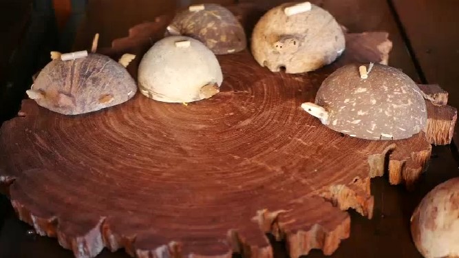 เต่ากะลา ของเล่นไม้ไทย ของเล่นภูมิปัญญา ของเล่นฝึกประสบการณ์